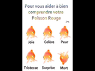 https://image.noelshack.com/fichiers/2017/16/1492553602-01.jpg