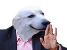 https://image.noelshack.com/fichiers/2017/16/1492699905-1492388730-doggoenough.png