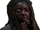 https://image.noelshack.com/fichiers/2017/16/1492863234-twdmichonne.png