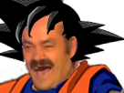 https://image.noelshack.com/fichiers/2017/16/1492911302-1474490304-risitas482.png