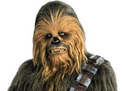 https://image.noelshack.com/minis/2017/16/1492977218-cccc.png