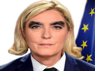 https://image.noelshack.com/fichiers/2017/17/1493498972-marine-lp-fillon-fn.png