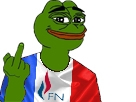 https://image.noelshack.com/minis/2017/17/1493564495-pepefn.png