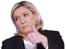 https://image.noelshack.com/fichiers/2017/18/1493642142-marine-le-pen-poce-blo.png