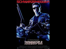 https://image.noelshack.com/fichiers/2017/18/1493644049-terminator-2-1.jpg
