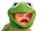 https://image.noelshack.com/fichiers/2017/18/1493838907-1479502556-risitas-kermit.png