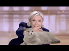 https://image.noelshack.com/fichiers/2017/18/1493884861-1493866079-2017-05-04-04-47-24.gif