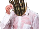 https://image.noelshack.com/minis/2017/18/1493935274-brindillesrisitas3.png