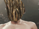 https://image.noelshack.com/fichiers/2017/18/1494000375-brindillesrisitas8.gif
