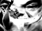 https://image.noelshack.com/minis/2017/19/1494297271-kangouroucreep.png