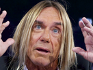 https://image.noelshack.com/fichiers/2017/19/1494367611-iggy-pop-01.jpg