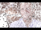 https://image.noelshack.com/minis/2017/19/1494410146-ezgif-com-gif-maker-1.png