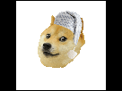 https://image.noelshack.com/minis/2017/19/1494544058-doggo3.png