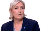 https://image.noelshack.com/fichiers/2017/19/1494773068-marine-le-pen-blasee-3.png