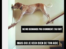 https://image.noelshack.com/fichiers/2017/19/1494778795-04.jpg