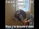 https://image.noelshack.com/fichiers/2017/19/1494781270-c-data-users-defapps-appdata-internetexplorer-temp-saved-images-images-5.jpg