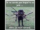 https://image.noelshack.com/fichiers/2017/19/1494781433-c-data-users-defapps-appdata-internetexplorer-temp-saved-images-imagesz4eyqnpn.jpg