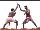 https://image.noelshack.com/fichiers/2017/19/1494782742-kalari-payattu-martial-arts-india.jpg