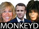 https://image.noelshack.com/minis/2017/20/1494802467-monkeyd.png