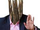 https://image.noelshack.com/minis/2017/20/1494883870-brindillesrisitas19.png