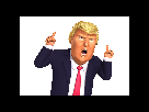https://image.noelshack.com/minis/2017/20/1494999296-donaldtrump3d.png