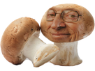 https://image.noelshack.com/fichiers/2017/20/1495059211-champignon-larry.png