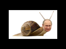 https://image.noelshack.com/fichiers/2017/20/1495175242-poutineescargot.png