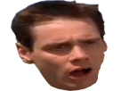 https://image.noelshack.com/fichiers/2017/21/1495552488-jimcarrey.png