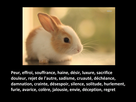 https://image.noelshack.com/fichiers/2017/21/1495567824-entite-malefique.jpg