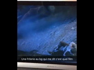 https://image.noelshack.com/fichiers/2017/21/1495660080-screenshot-2017-05-24-23-02-03-1.png