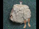 https://image.noelshack.com/fichiers/2017/21/1495669888-evolution.png