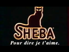 https://image.noelshack.com/fichiers/2017/21/1495741661-telechargement.jpg