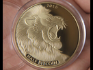 https://image.noelshack.com/fichiers/2017/21/1495891159-2015-half-titan-physical-bitcoins-gold-plated-coins-medal-usa-us-uk-dollar-money-digital-litecoin.jpg