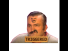 https://image.noelshack.com/minis/2017/21/1495899448-424680risitastriggered2.png