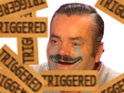 https://image.noelshack.com/minis/2017/21/1495984884-415339megatriggered.png