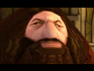 https://image.noelshack.com/fichiers/2017/22/1496087008-hagrid.jpg