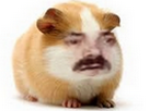 https://image.noelshack.com/fichiers/2017/22/1496089963-17911097-1340041399421026-1312005264-n.png