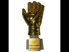 https://image.noelshack.com/fichiers/2017/22/1496395782-12-gold-soccer-football-ball-goalkeeper-font-b-gloves-b-font-award-resin-best-goal-keeper.jpg