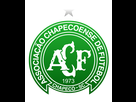 https://image.noelshack.com/fichiers/2017/22/1496396060-associacao-chapecoense-de-futebol-2016.png