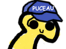 https://image.noelshack.com/fichiers/2017/23/1496866290-eco-puceau.png