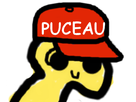 https://image.noelshack.com/fichiers/2017/23/1496866876-eco-puceau2.png