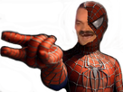 https://www.noelshack.com/2017-23-1496903773-1491406429-rispider.png