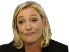 https://image.noelshack.com/fichiers/2017/24/1/1497296387-lepen.png