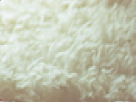 https://image.noelshack.com/fichiers/2017/24/3/1497458499-54-2x7axsul.png