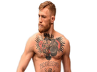 https://image.noelshack.com/fichiers/2017/24/4/1497523749-020216-ufc-mcgregor-pi-mp-vadapt-664-high-66.jpg