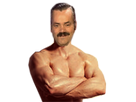 https://image.noelshack.com/fichiers/2017/24/4/1497541158-risistas-gomuscu.png