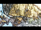 https://image.noelshack.com/fichiers/2017/24/5/1497627842-bog-awfullterraindestruction.gif