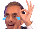 https://image.noelshack.com/fichiers/2017/24/5/1497645148-jppzemmour.png