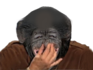 https://image.noelshack.com/fichiers/2017/24/7/1497791073-singepincenez.png