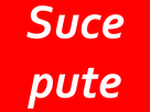 https://image.noelshack.com/minis/2017/25/1/1497906916-sucepute.png